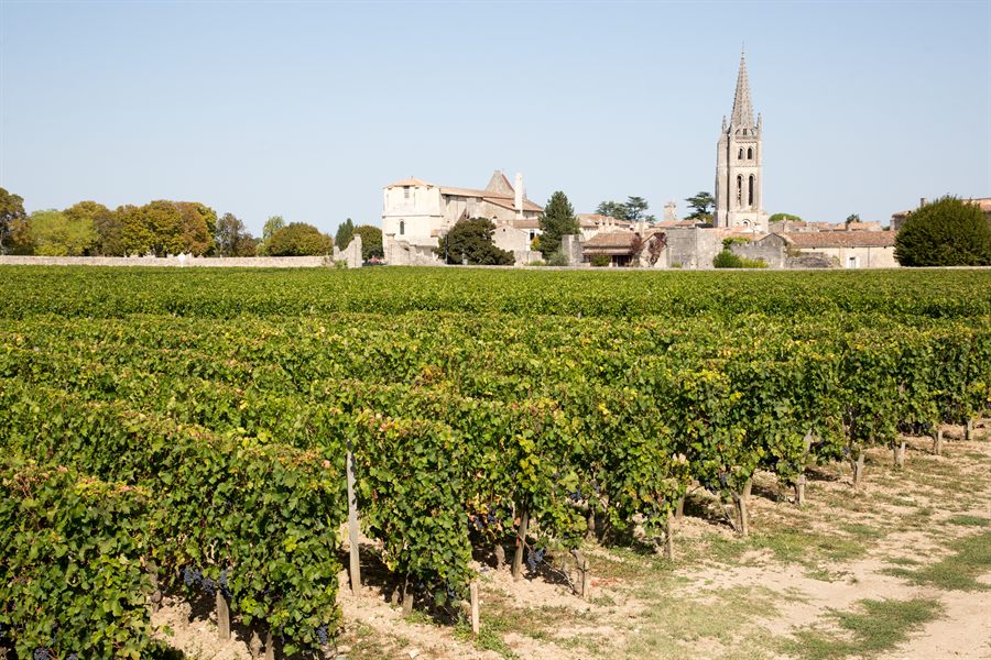 Vineyards at Saint-Emilion