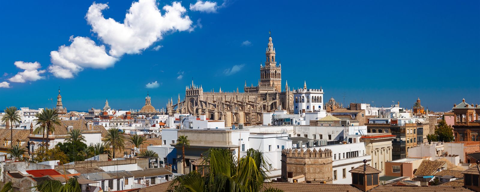 Seville skyline with the Giralda bell tower and cathedral rising above white rooftops
